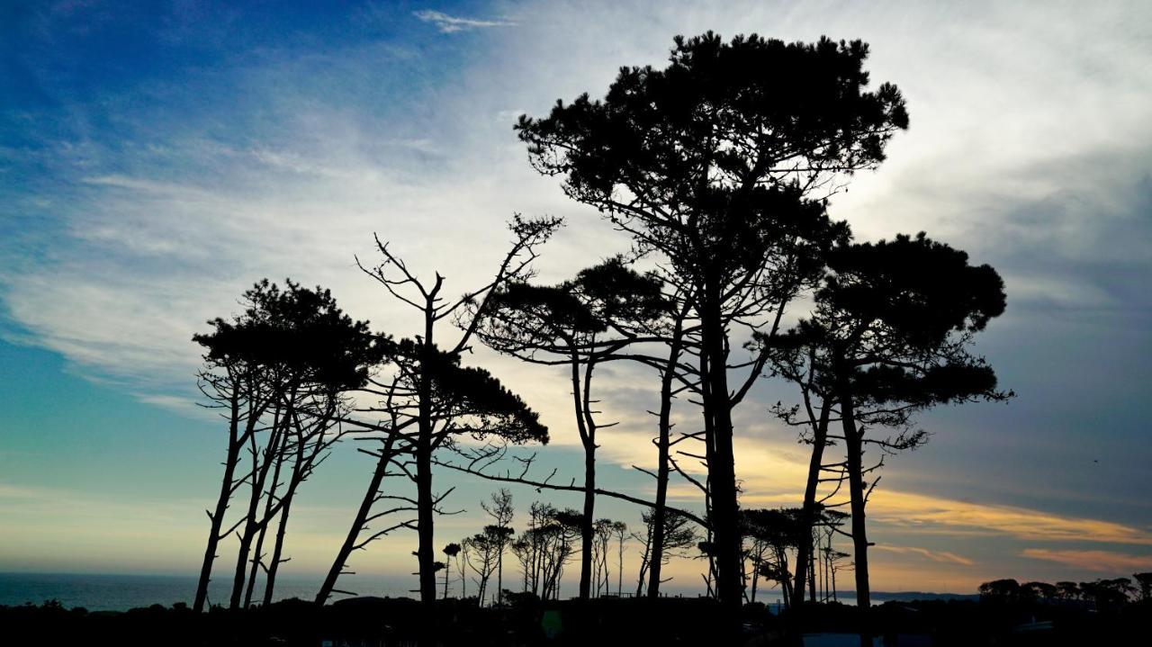 Casagrande Hotel & Beach Club Jose Ignacio  Εξωτερικό φωτογραφία Monterey cypress trees at Point Arena, California